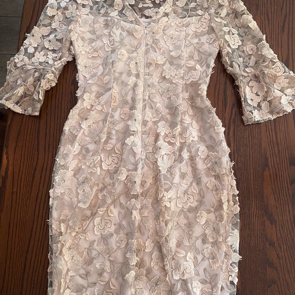 Elegant Adrianna papell Floral Dress in blush - Picture 6 of 7